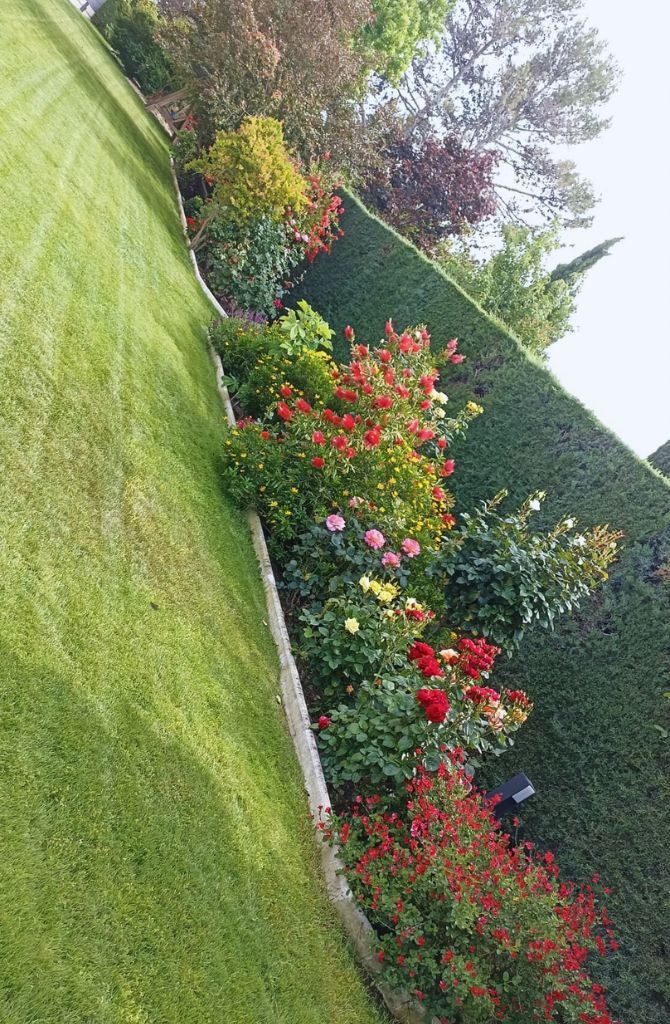 jardineria-ttito