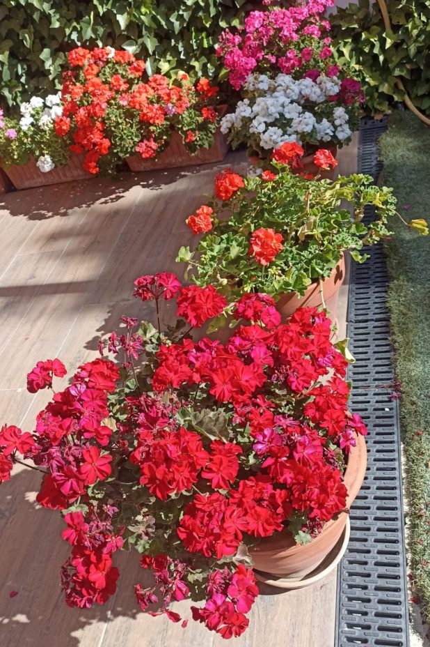Trabajo floral de Ttito
